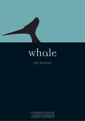 Whale