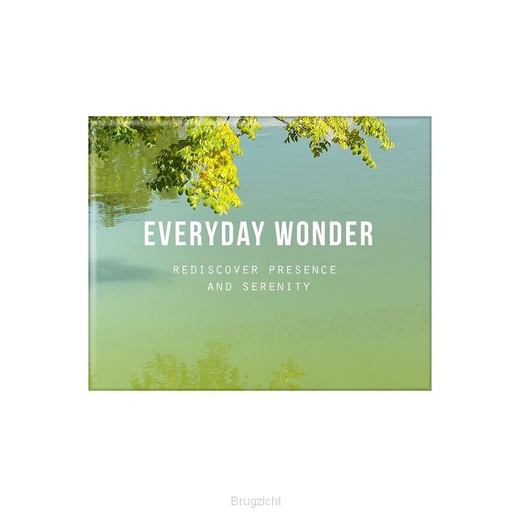 Everyday Wonder