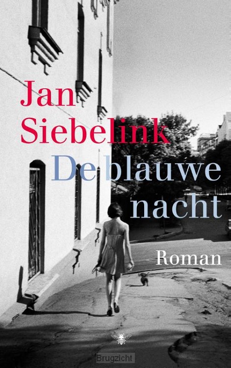 De blauwe nacht