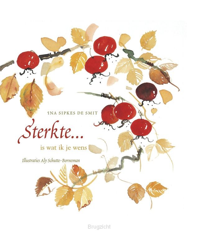 Sterkte is wat ik je wens