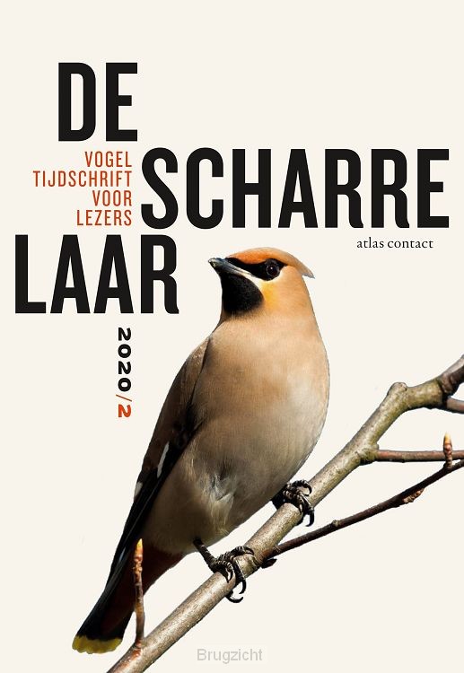De scharrelaar / 2020/2