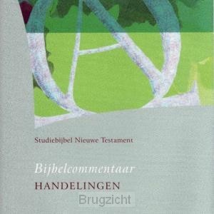 Studiebijbel NT6  dl.6  Handelingen