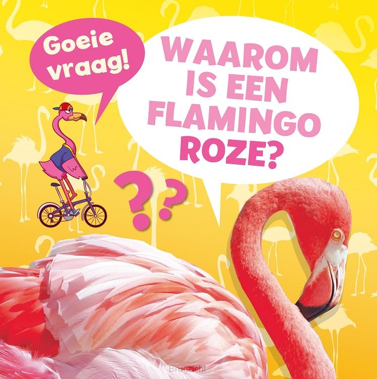 Waarom is een flamingo roze?