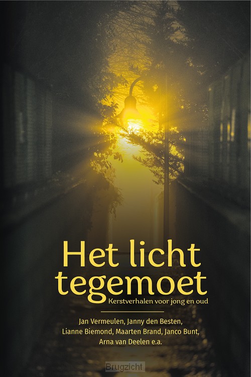 Het licht tegemoet