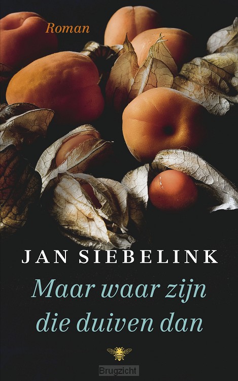 Maar waar zijn die duiven dan