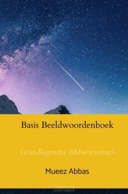 Basis Beeldwoordenboek