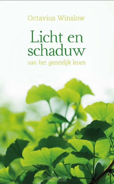 Licht en schaduw van h geestelijk leven