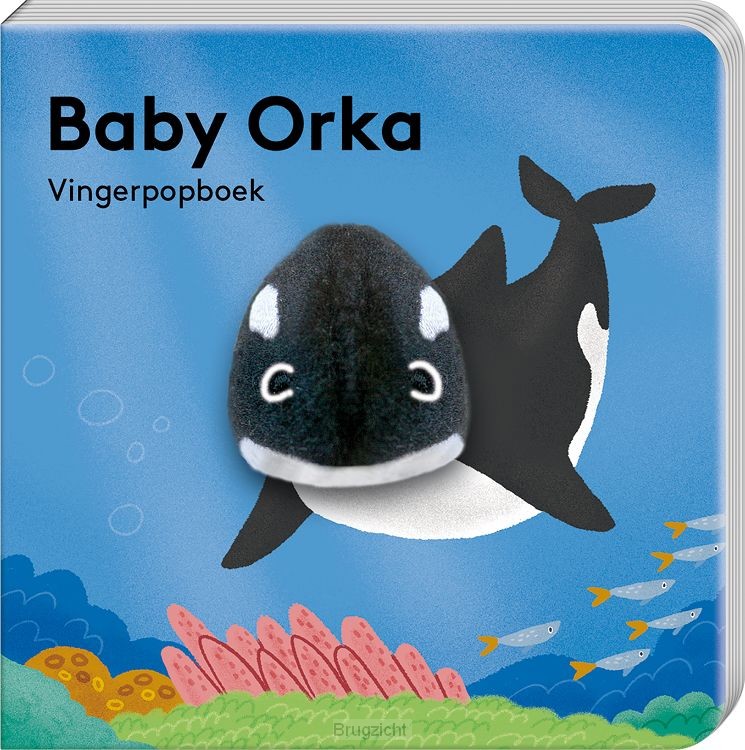 Baby Orka