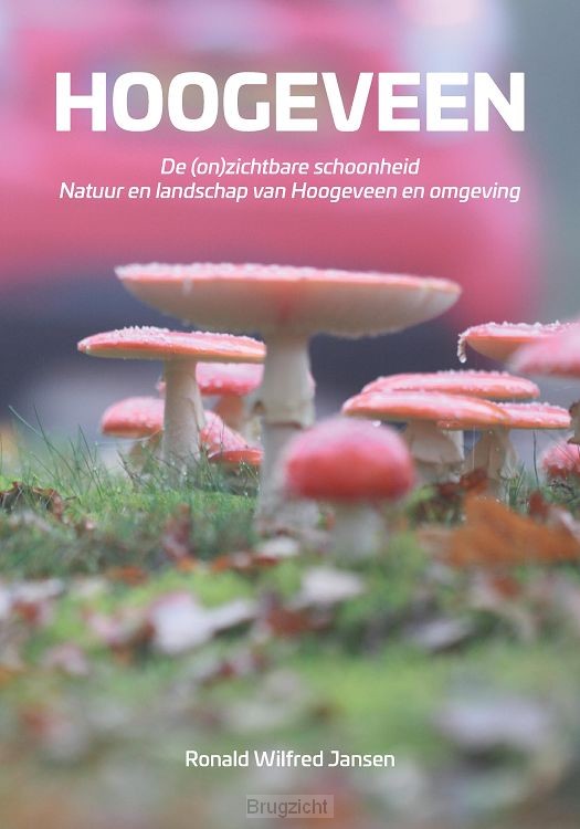 Hoogeveen. De (on)zichtbare schoonheid. Natuur en landschap van Hoogeveen en omgeving