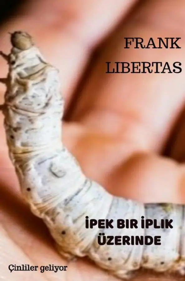 ?pek Bir ?plik Üzerinde