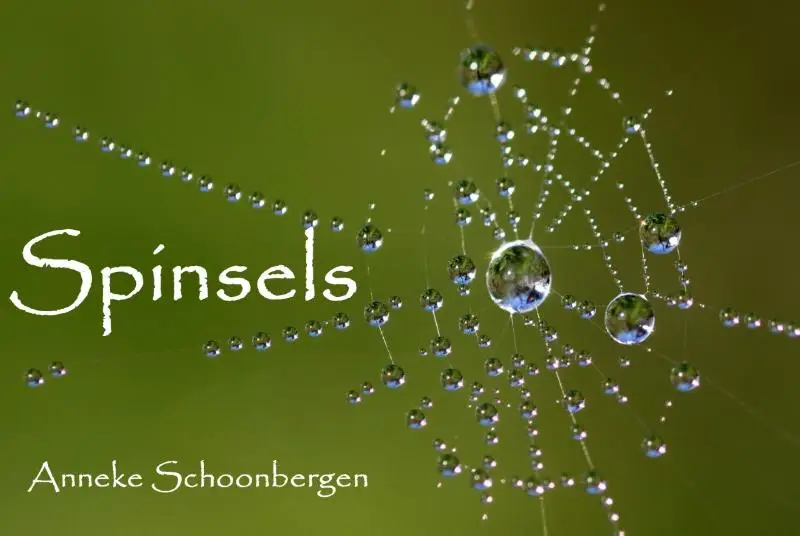 Spinsels