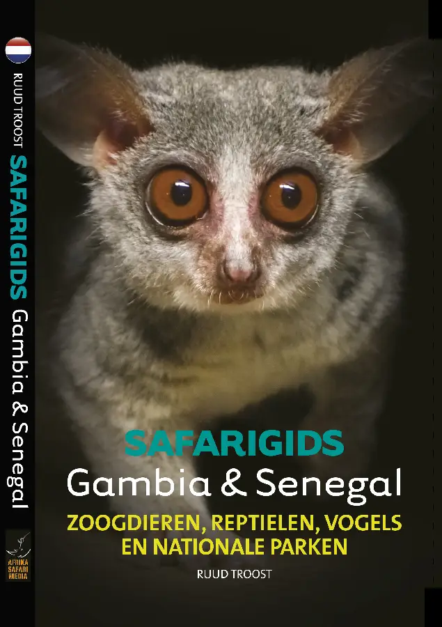 Safarigids Gambia & Senegal