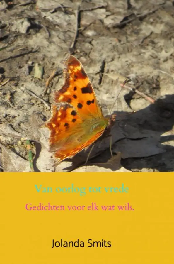 Van oorlog tot vrede