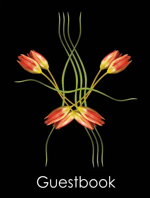 Guestbook Double Dutch Tulips