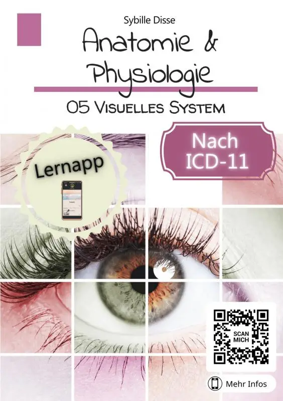 Anatomie & Physiologie Band 05: Visuelles System
