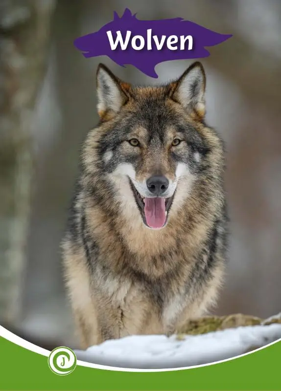Wolven