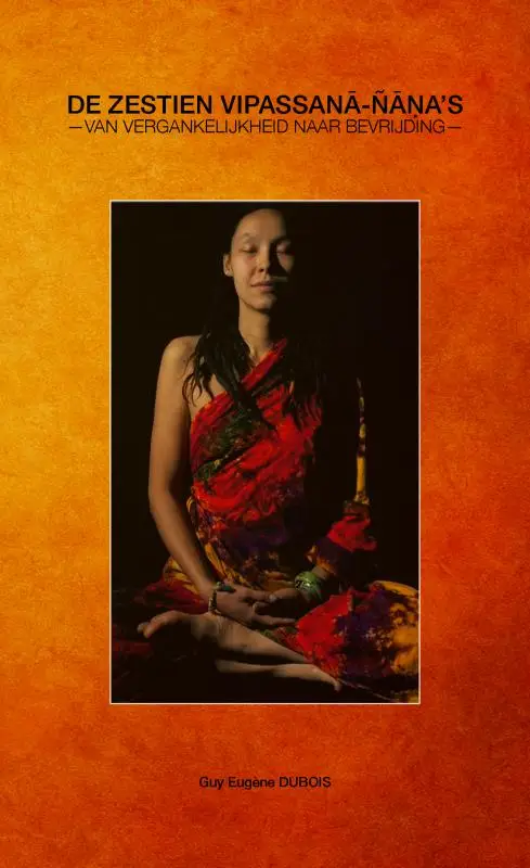 De Zestien Vipassan?-Ñ??a's