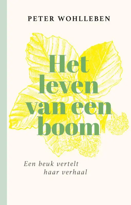 Het leven van een boom