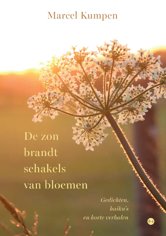 De zon brandt schakels van bloemen