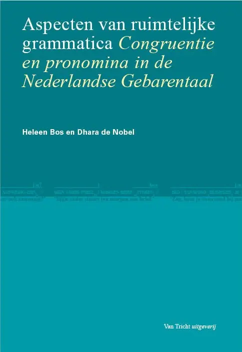 Aspecten van ruimtelijke grammatica