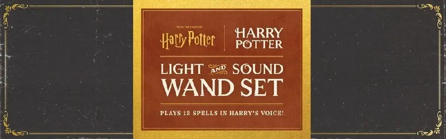 Harry Potter: Harry Potter Light and Sound Wand Set: Plays 12 Spells in Harry's Voice!