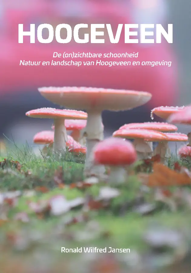 Hoogeveen. De (on)zichtbare schoonheid. Natuur en landschap van Hoogeveen en omgeving