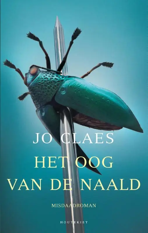 Het oog van de naald