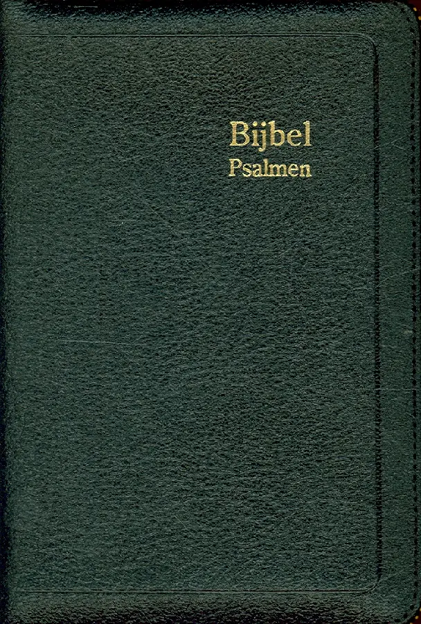 Stv.Bijbel D35R stv.RITMISCH leer goudsn