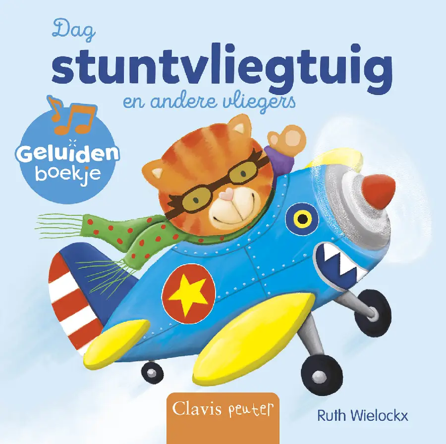 Dag stuntvliegtuig en andere vliegers