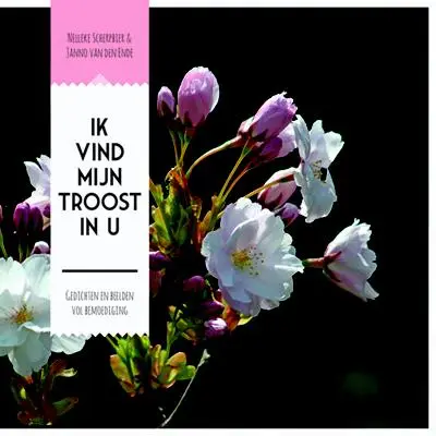 Ik vind mijn troost in U