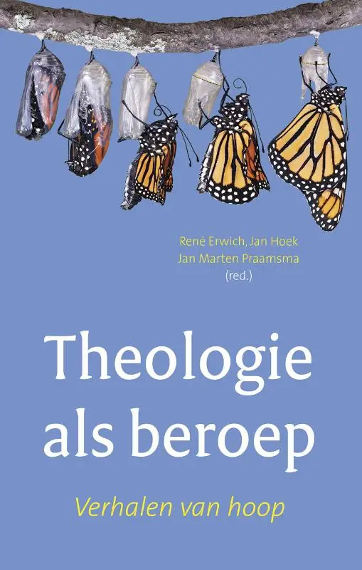 Theologie als beroep