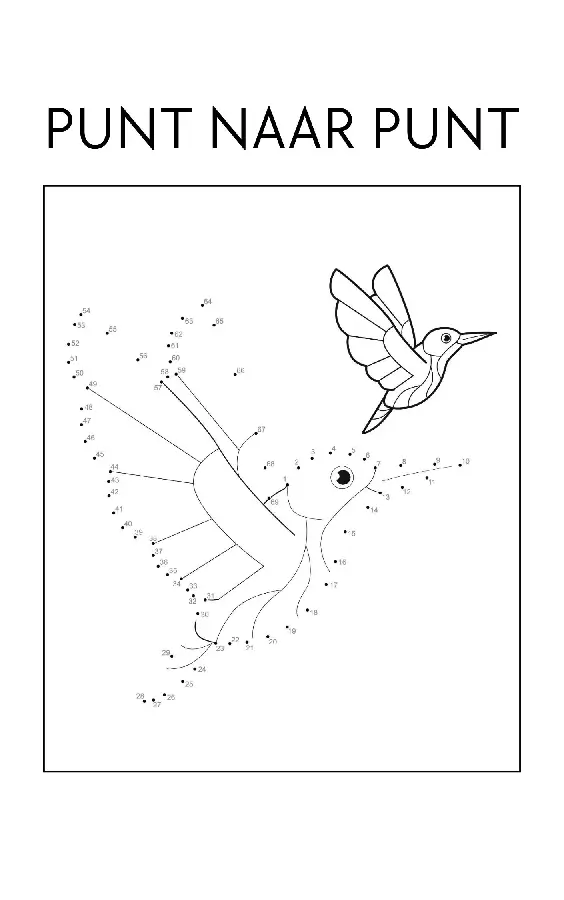 Punt naar Punt