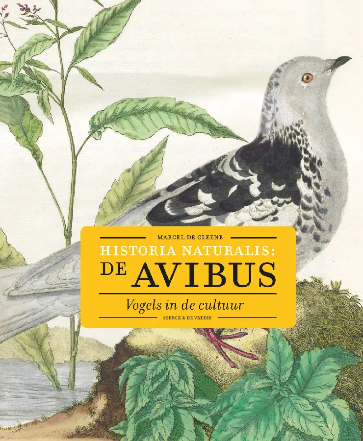 Historia naturalis: de avibus