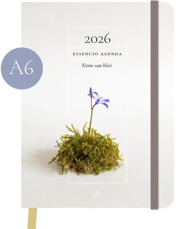 Essencio Agenda 2026 klein (A6)