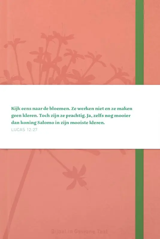 Bijbel in gewone taal  compact roze