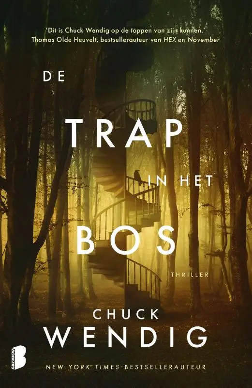 De trap in het bos